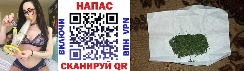 Купить закладки  Балашиха  МАРИХУАНА планчик 