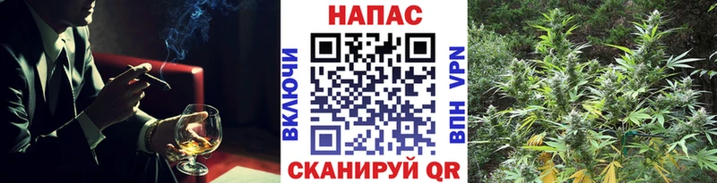 Шишки марихуана ГИДРОПОН Балашиха